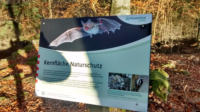 Kernzone Naturschutz Hilsberg 18.11.2018